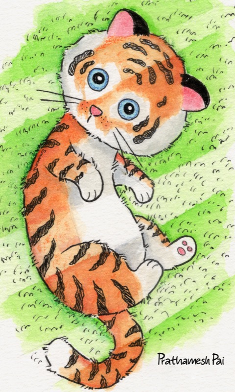 Sūnya's Stripes