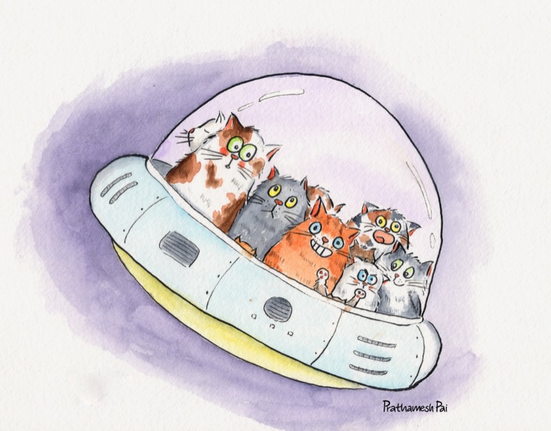 Package tour of the universe