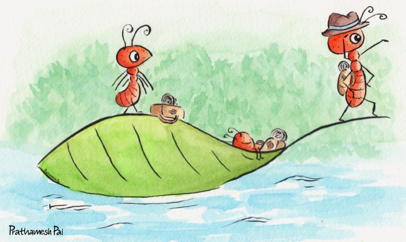 Where does the river end?