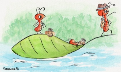 Where does the river end?