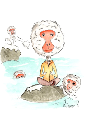 Meditative snow monkey